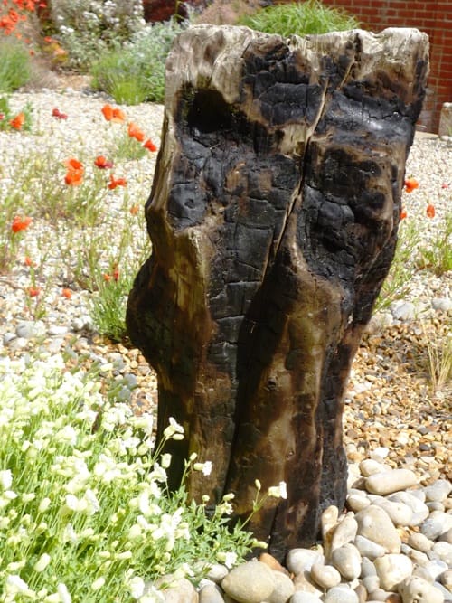 Driftwood post in coastal garden