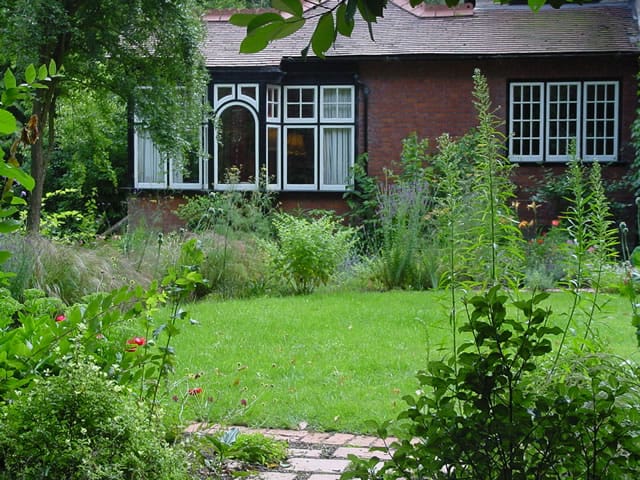 woodland glade
