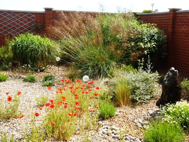 gravel planting