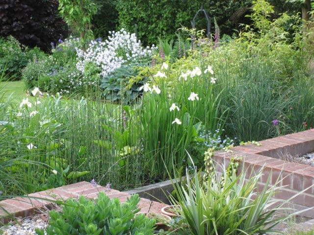 wildlife planting