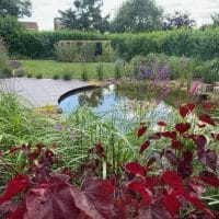 Wildlife Pond wildlife pond