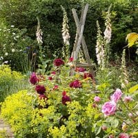 Cutting garden cutting garden