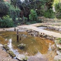 Wildlife pond wildlife pond