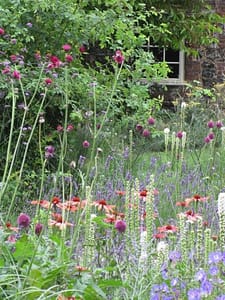 Planting for pollinators Planting for pollinators