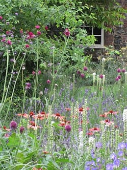 Planting for pollinators Planting for pollinators