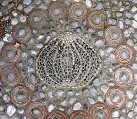 Sea urchin mosaic sea urchin mosaic detail