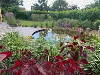 Wildlife Pond wildlife pond