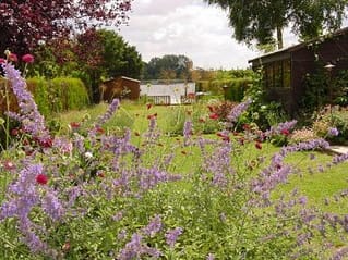 Waterside Garden waterside garden