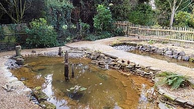 Wildlife pond wildlife pond