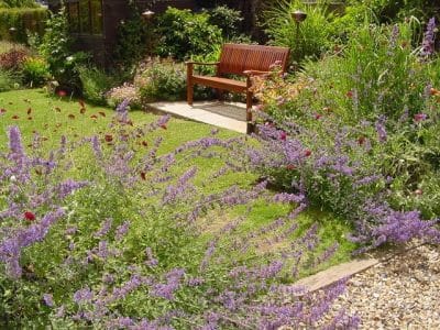 Cottage planting wildlife-friendly planting