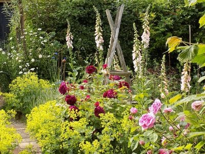 Cutting garden cutting garden