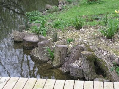 Shoreline with log piles shoreline by river