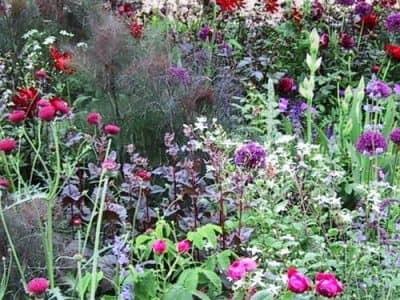Planting design at Chelsea Flower Show chelsea flower show planting