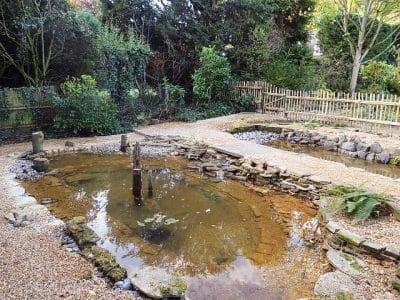 Wildlife pond wildlife pond with two levels