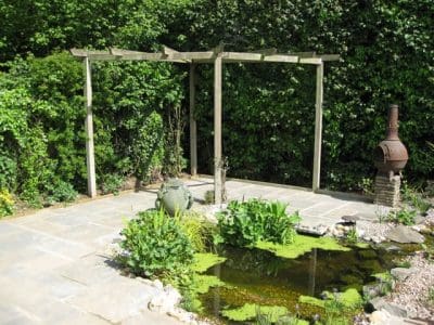 Small Wildlife Pond small wildlife pond