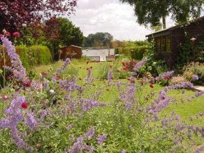 View To Broad Waterside garden