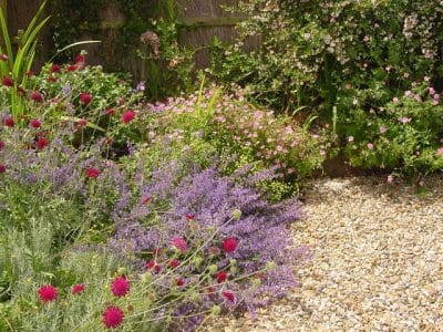 Gravel planting wildlife-friendly planting