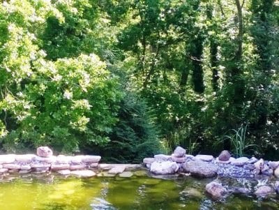 Infinity pond infinity pond