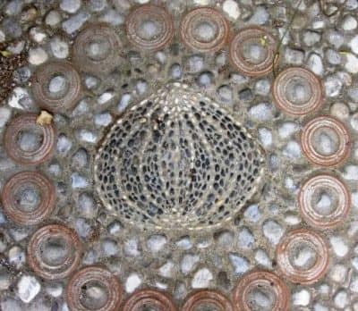 Sea urchin mosaic sea urchin mosaic detail