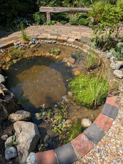 Natural wildlife pond natural wildlife pond