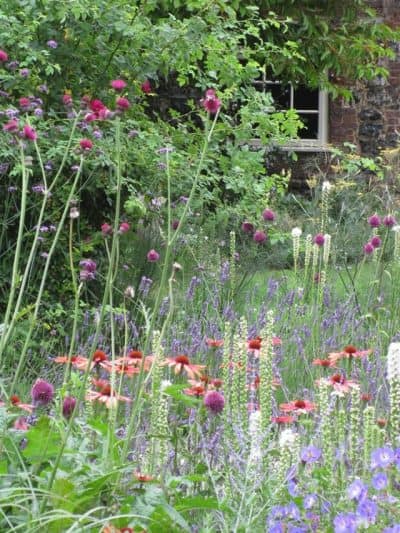 Planting for pollinators Planting for pollinators