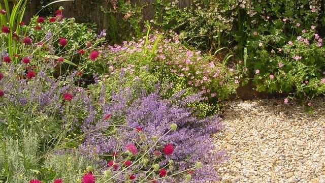 Gravel planting wildlife-friendly planting