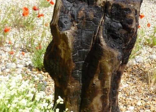 Driftwood post Driftwood post in coastal garden