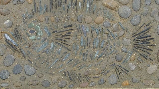 Fish mosaic