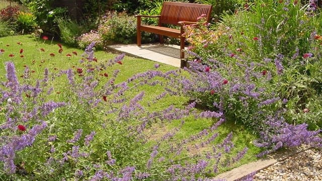 Cottage planting wildlife-friendly planting