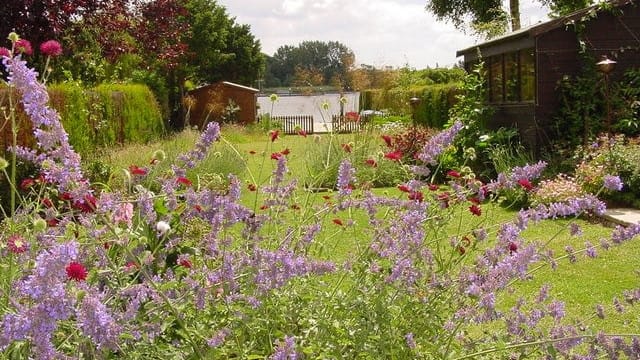 View To Broad Waterside garden