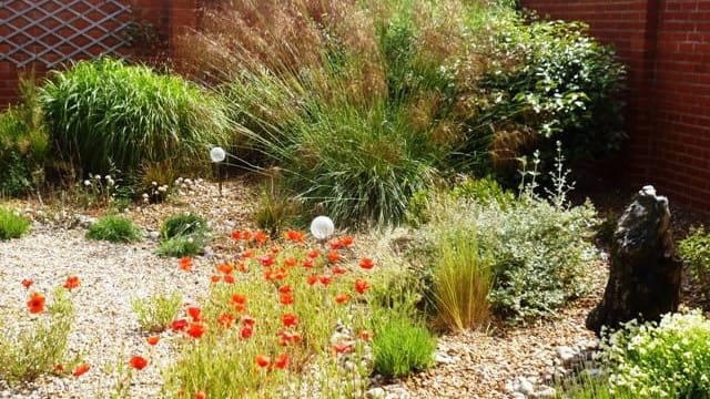 Gravel Planting gravel planting