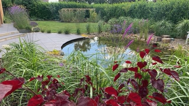 Wildlife Pond wildlife pond