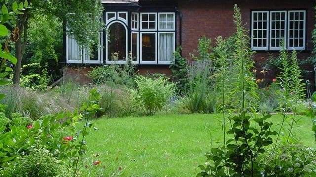 Woodland Glade woodland glade