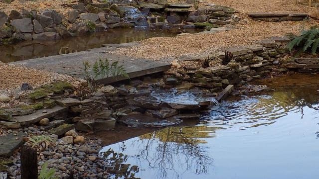 Bridge & Waterfall waterfall