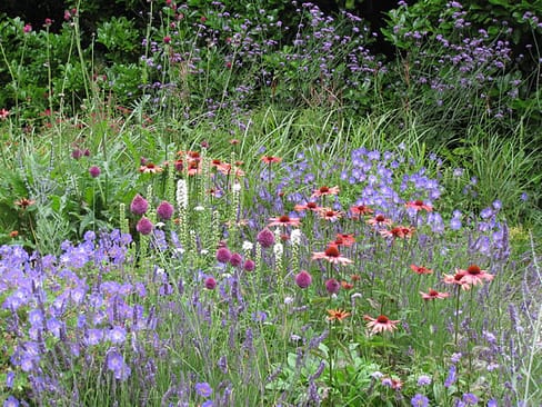 wildlife-friendly planting